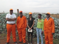 Glass recycling grows fast to 40% 