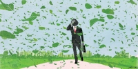 The Race to Decide Who's Greenest