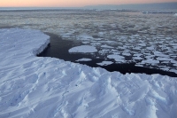 Extreme violence &amp; climate change linked by scientists