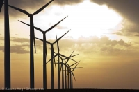 Renewables surge ahead