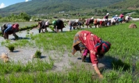 Bhutan aims to be first 100% organic nation