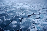 Arctic to be ice-free in 40 years?