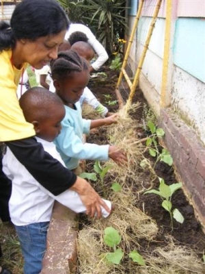  Hands up for a Healthy Environment!