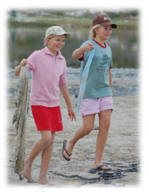 imhoff waldorf school is off the grid