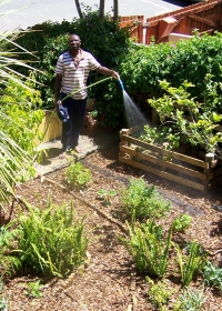 The Stoep Harvest Part 7: Intelligent Watering