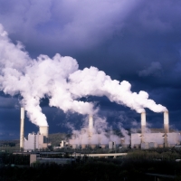 Green Scorpions expose Eskom&#039;s eco crimes