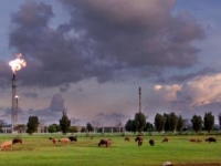 Abundant natural gas found off East African coast 