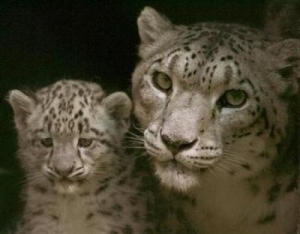 surprise new pair at boesmanskloof 
