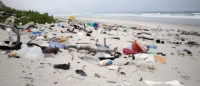 Plastics industry to host first African Marine Debris Summit