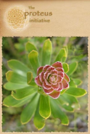 Seeing Nature Holistically with Craig Holdrege 