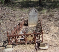 Eco Funerals, Pt 1: Nourishing life after death