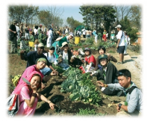 japanese gardeners help gauteng school