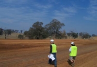Roadkills are 5th greatest threat to wildlife