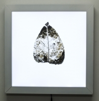Art for the environment at this year's Green Expo