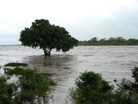 Reality of climate change in Southern Africa