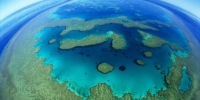 An urgent threat to the Great Barrier Reef