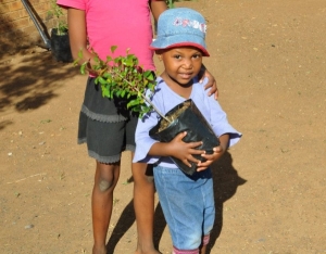 dry, polluted spaces turn into lush gardens