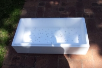 Grow your own food step 2: Sowing the seeds of life