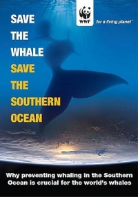 A chance to save the Southern Ocean