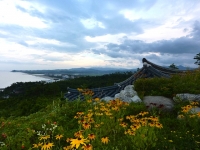 Explore land, food and democracy in South Korea