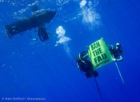 The ocean: a cry for help