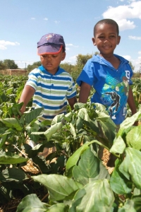 Community trust addresses social needs in NW province 