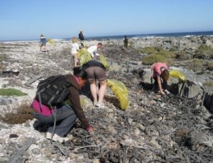 Robben Island beaches enjoy green sweep