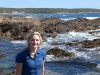 SU marine biologist writes new sea guide for children