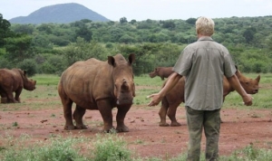 Help stop the mass extinction 