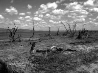 Earth: What will it look like after climate change?