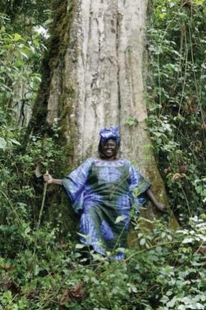 Reclaiming the Earth