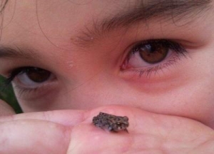let&#039;s keep the toadlets alive