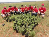 Bamboo to empower community