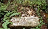 Eco Funerals, Pt 2: The Circle of Life
