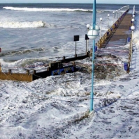 work for ailing oceans recognised internationally 