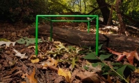 A world of life in a single cubic foot
