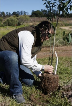 wine club tree planting event