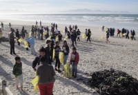 World’s biggest volunteer effort for ocean health
