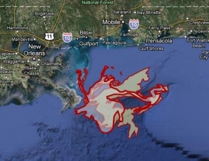 Crisis in the Gulf of Mexico