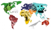 Barcoding project aims to protect endangered species
