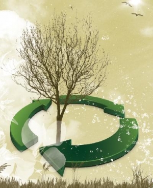Inaugural Africaâ€™s Energy and Environment Workshop
