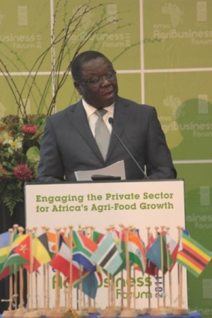 Hunger and poverty Africaâ€™s main challenges
