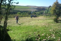 Foxglove organic stories Pt. 3: Organic farming is not for sissies