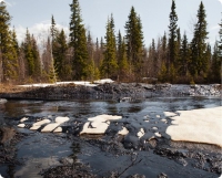Greenpeace documents Russian oil disaster