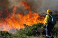 extreme heat and fires to increase