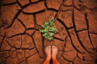 Environmentalists look to Pope Francis with hope