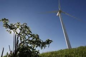 wind power conference unites south african wind industry