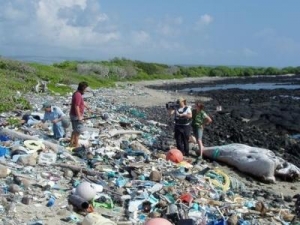 Green plastics: friend or foe?