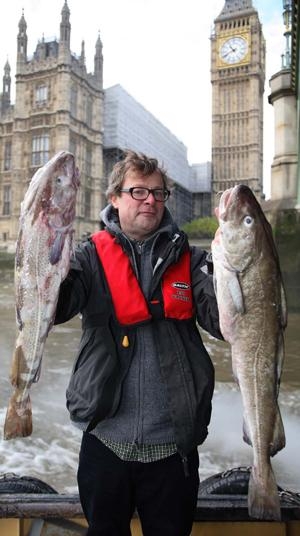 The Fish Fight 