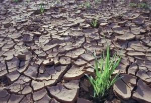  Only a blue revolution can save our water